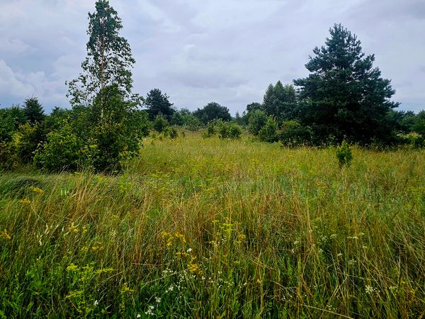 Klaipėdos r. sav., Stragnai II