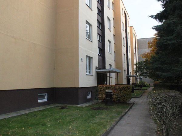 Panevėžys, Klaipėda
