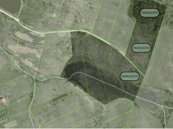 Širvintų r. sav., Kernavė