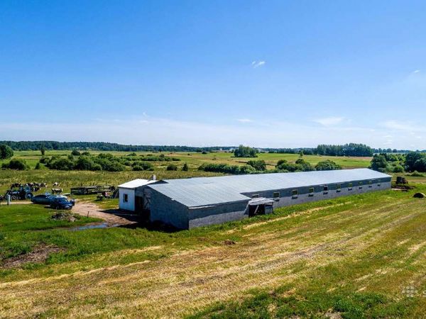 Šilalės r. sav., Žvingiai