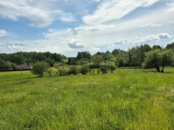 Plungės r. sav., Truikiai