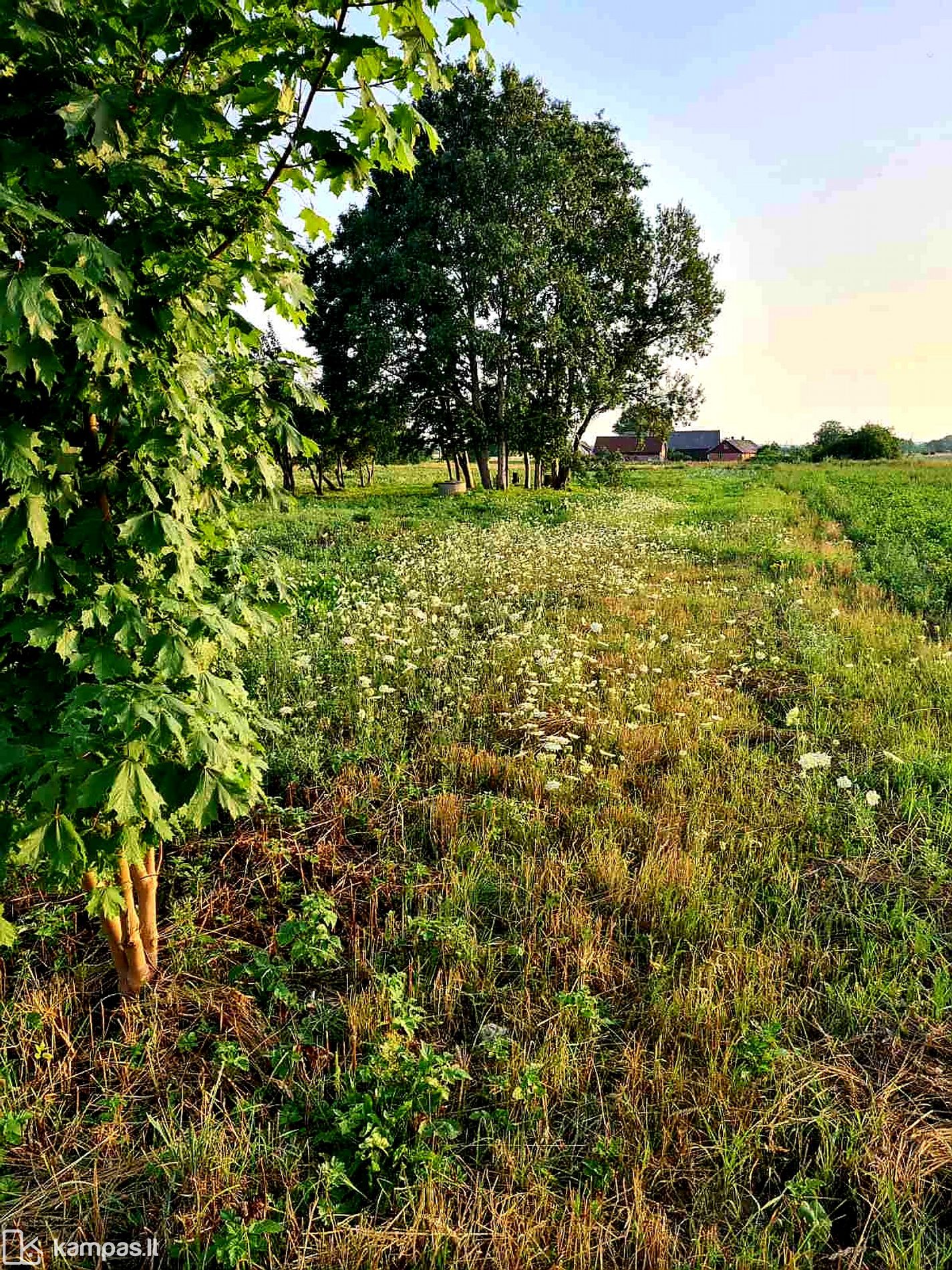 Main Image Klaipėdos r. sav., Kantvainai, Ventainės g.
