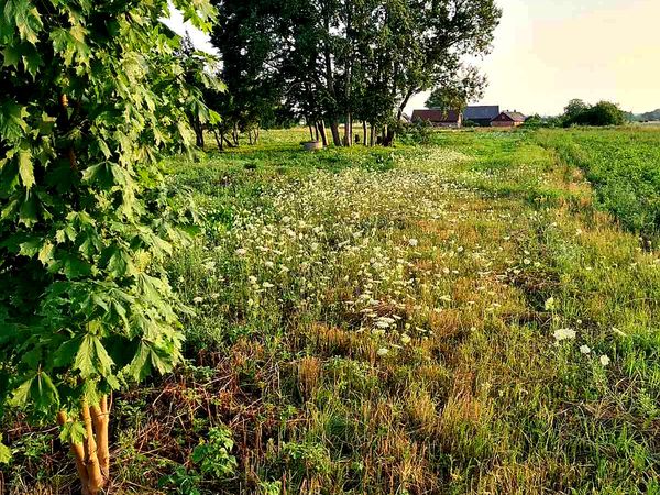 Klaipėdos r. sav., Kantvainai