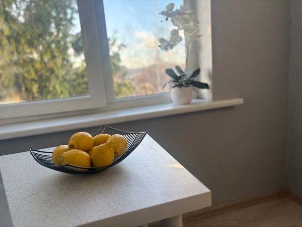 Panevėžys, Centras