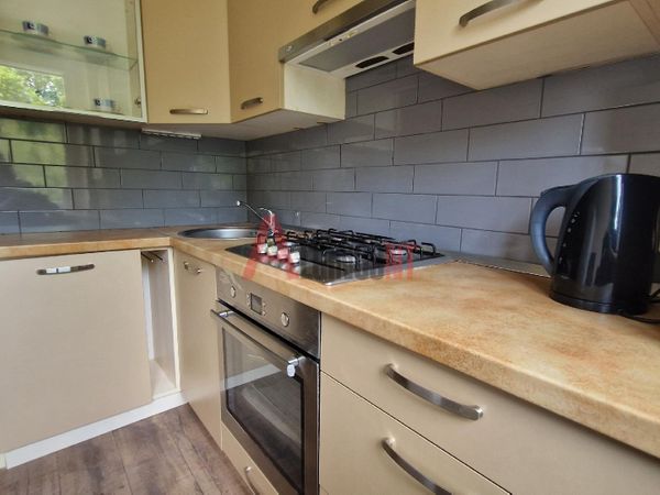 Klaipėda, Sportininkai