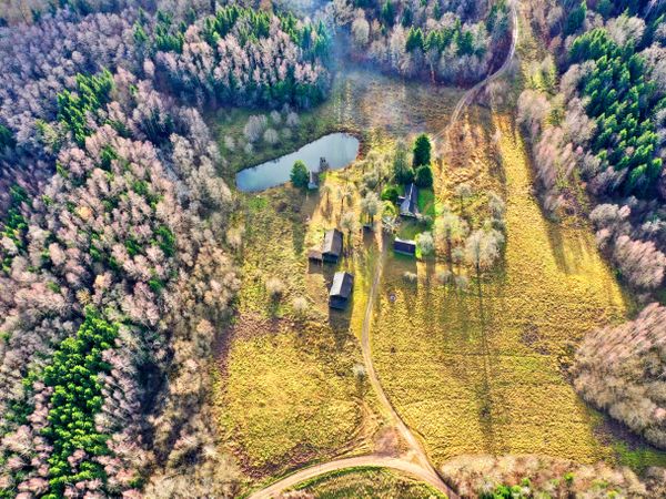 Molėtų r. sav., Linučiai