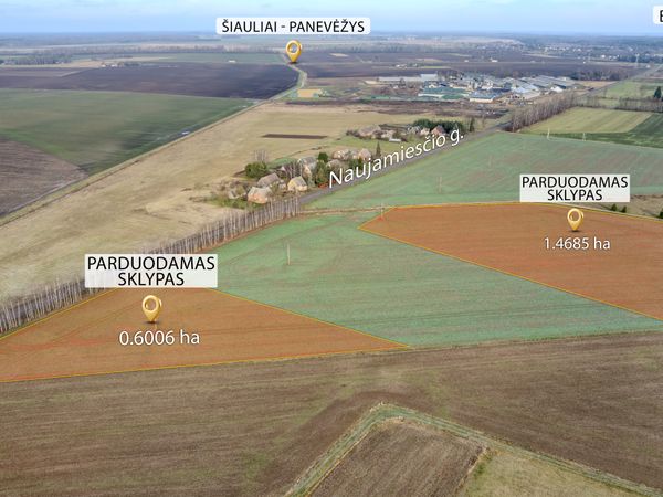 Panevėžio r. sav., Degionys