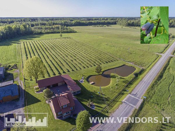 Rietavo sav., Žadvainai