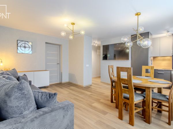 Panevėžys, Centras