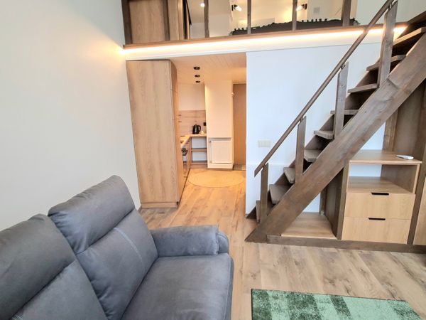 Vilnius, Šnipiškės