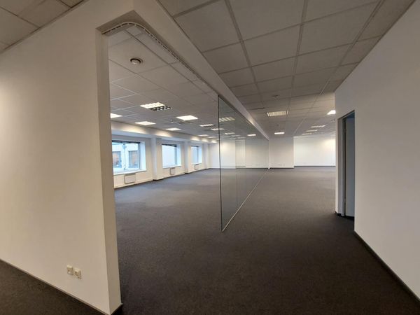 Vilnius, Šnipiškės