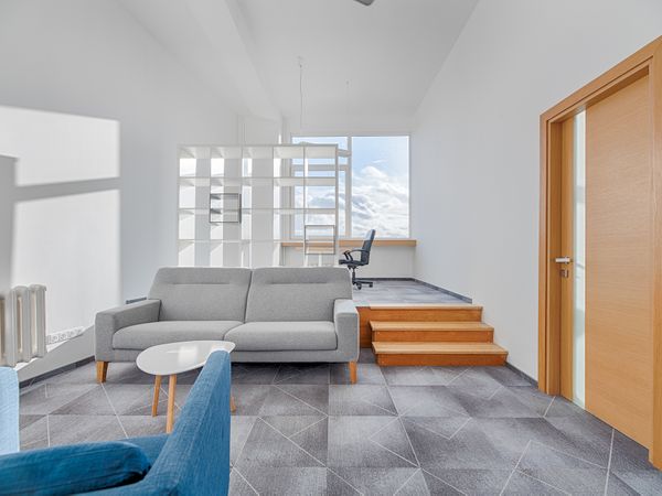 Vilnius, Šnipiškės