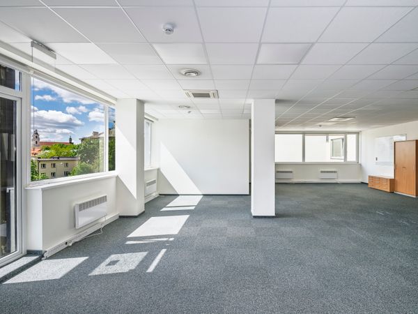 Vilnius, Šnipiškės