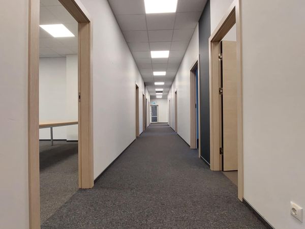 Vilnius, Šnipiškės