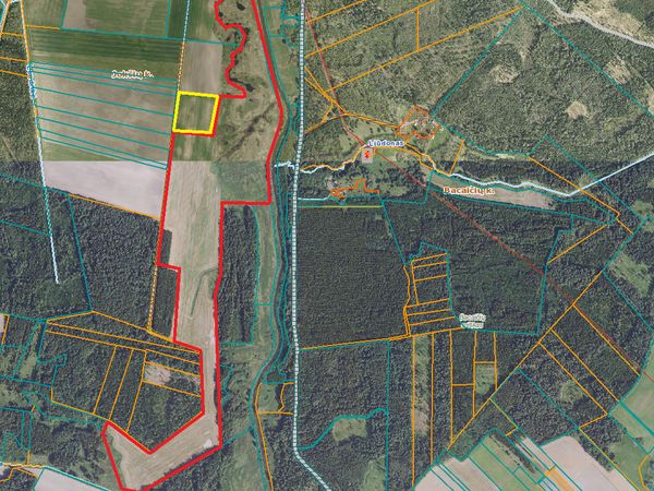 Šiaulių r. sav., Micaičiai