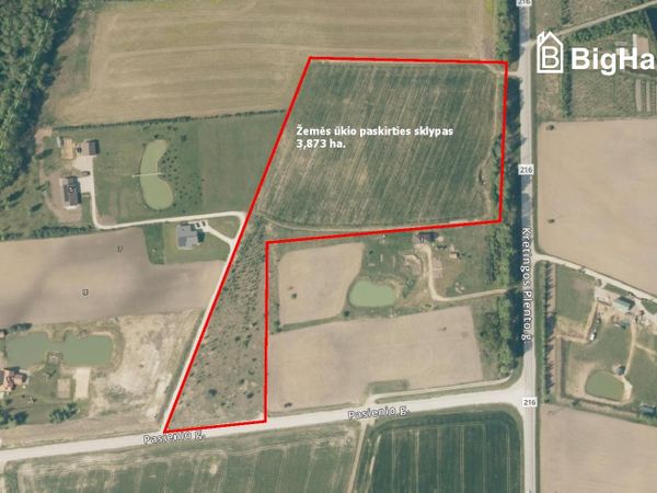 Klaipėdos r. sav., Gribžiniai