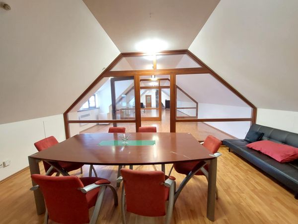 Vilnius, Šnipiškės