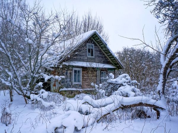 Utenos r. sav., Kalviai