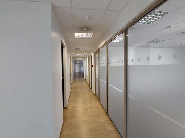 Vilnius, Šnipiškės