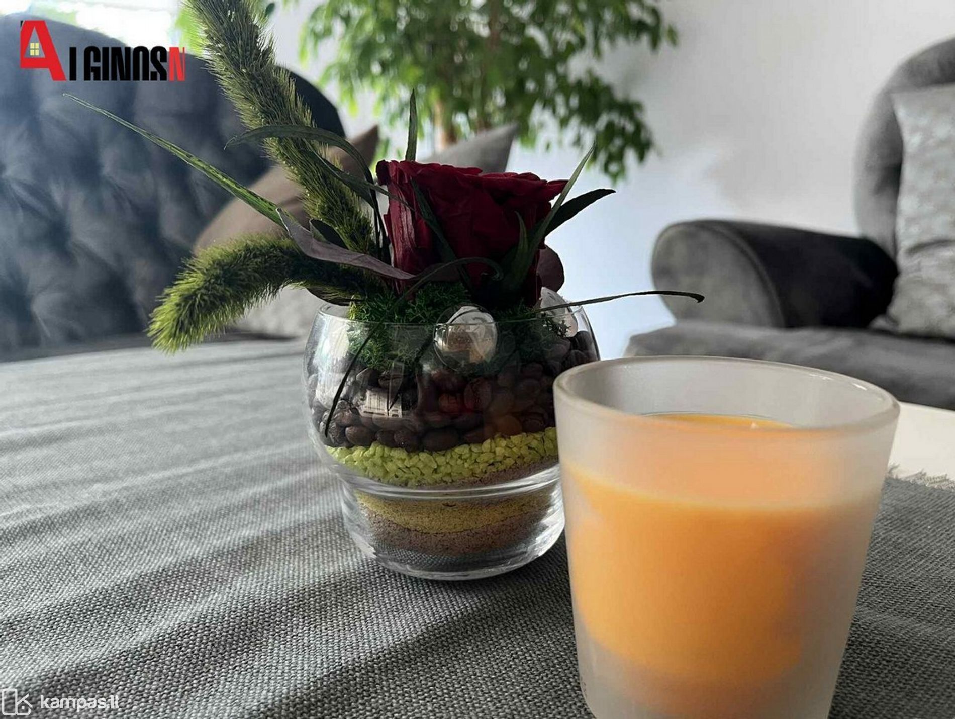 Main Image Klaipėda, Tauralaukis, Pajūrio g.