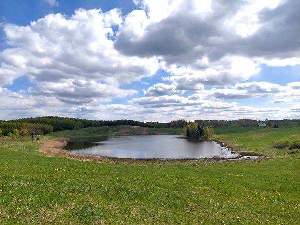 Zarasų r. sav., Šapauka