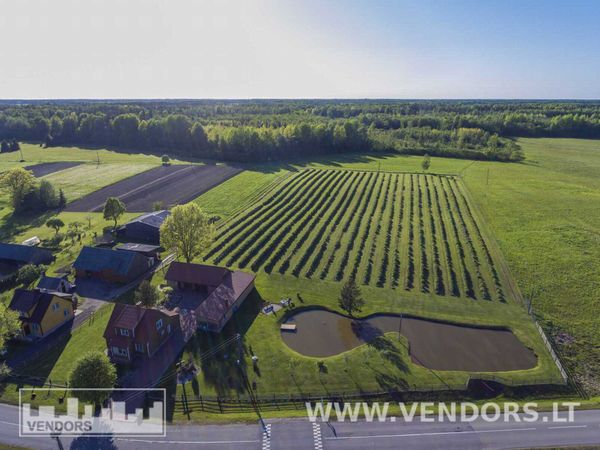 Rietavo sav., Žadvainai