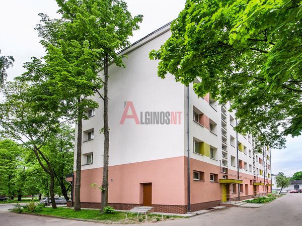 Klaipėda, Sportininkai