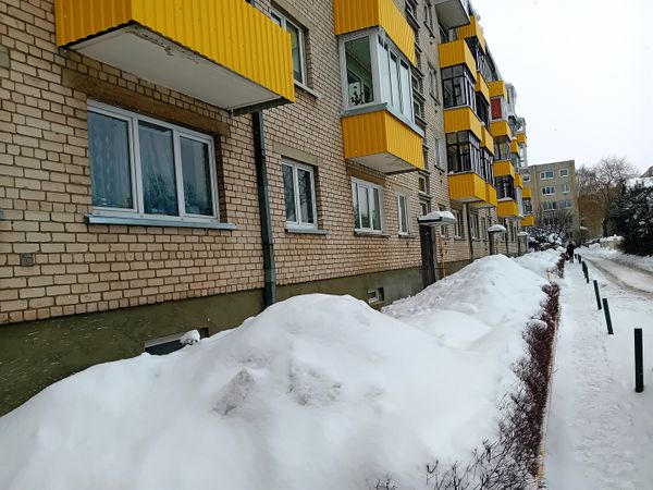 Panevėžys, Centras