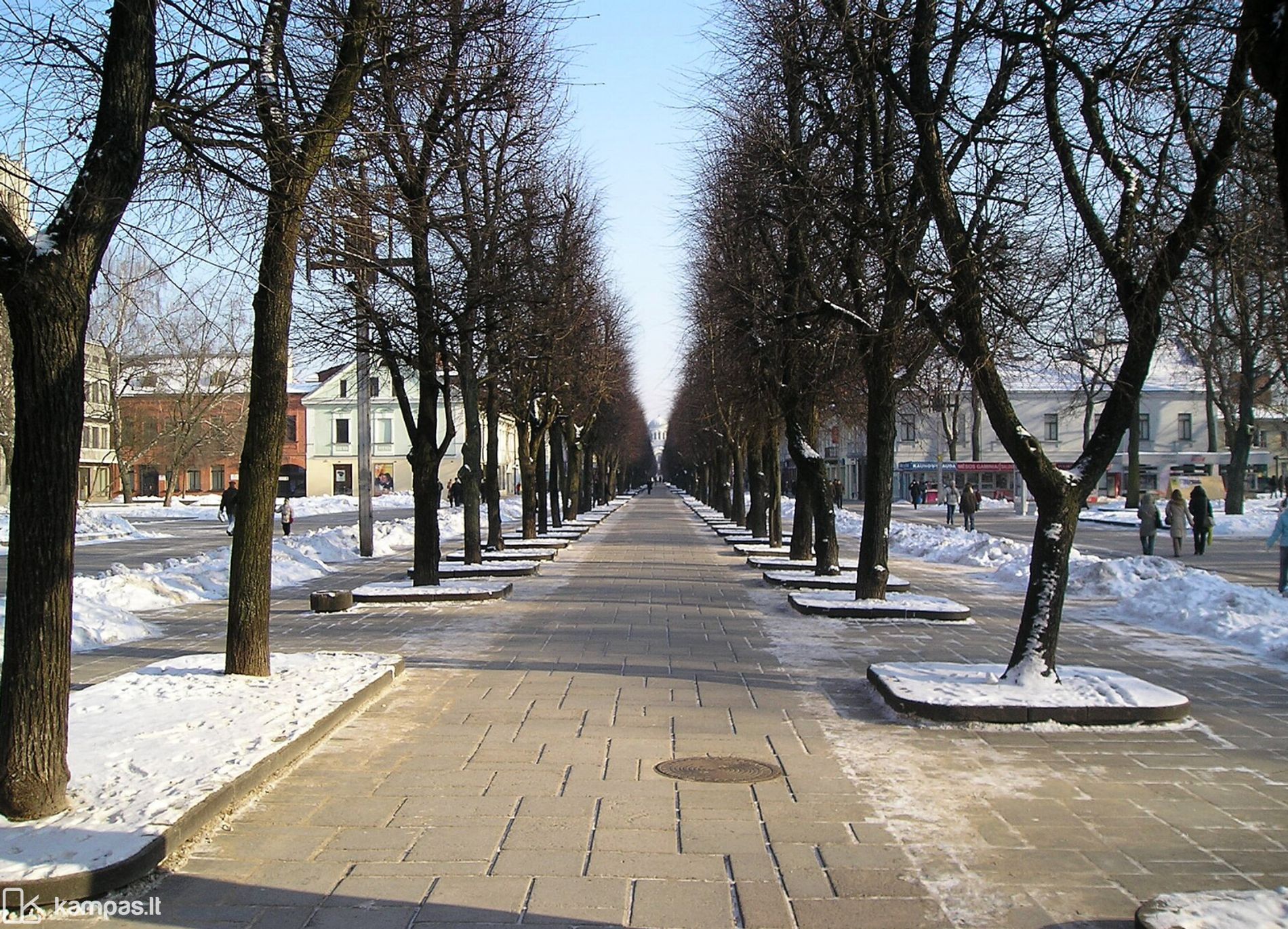 Main Image Kaunas, Centras, Vasario 16-osios g.