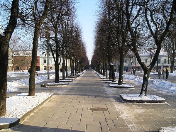 Kaunas, Centras