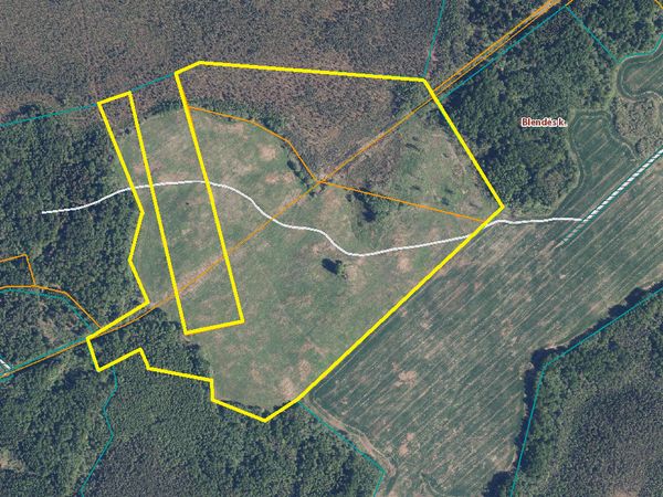 Širvintų r. sav., Blendė