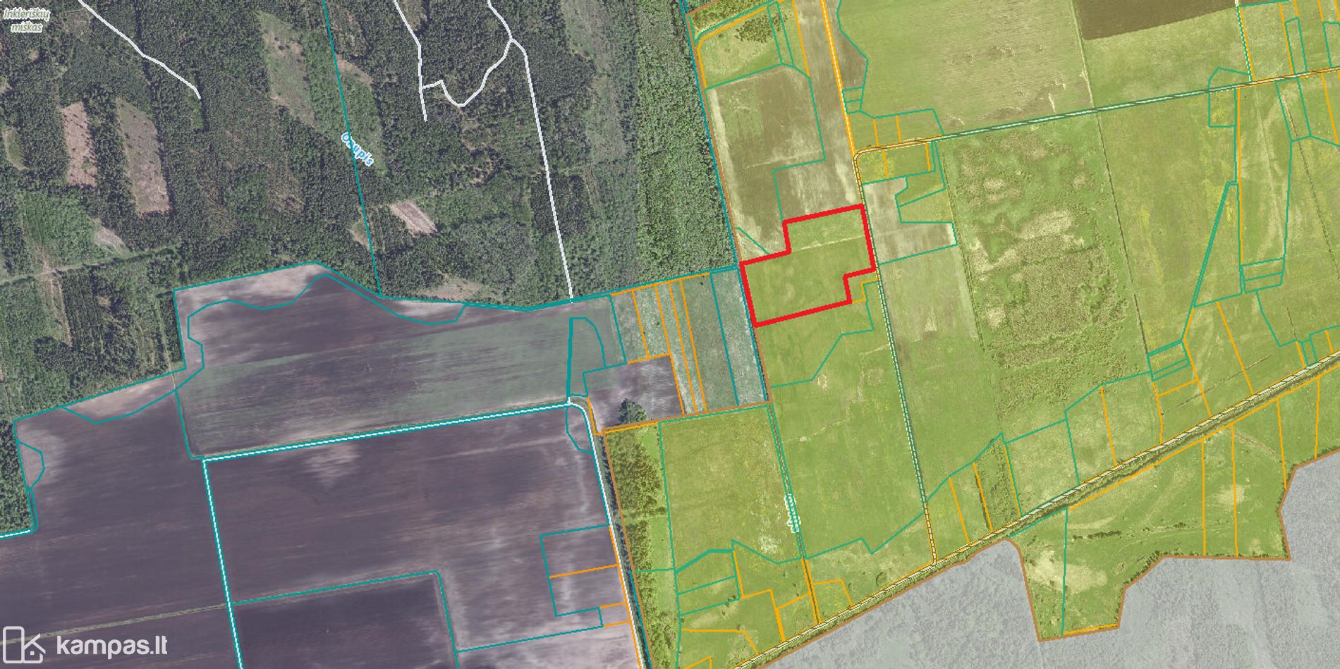 Main Image Trakų r. sav., Mamavys