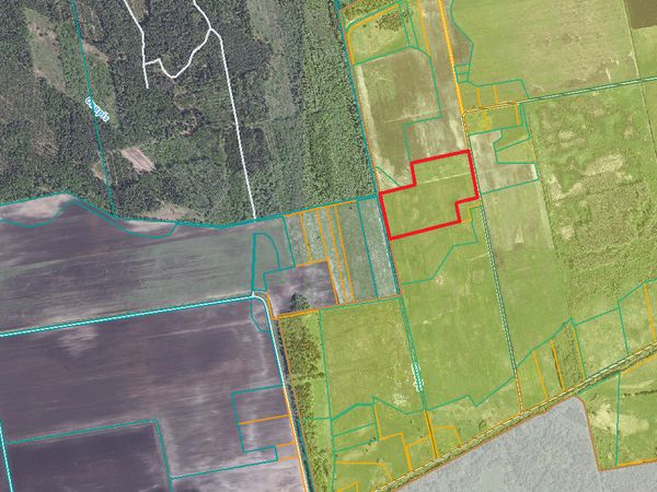 Trakų r. sav., Mamavys