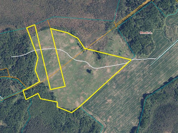 Širvintų r. sav., Blendė