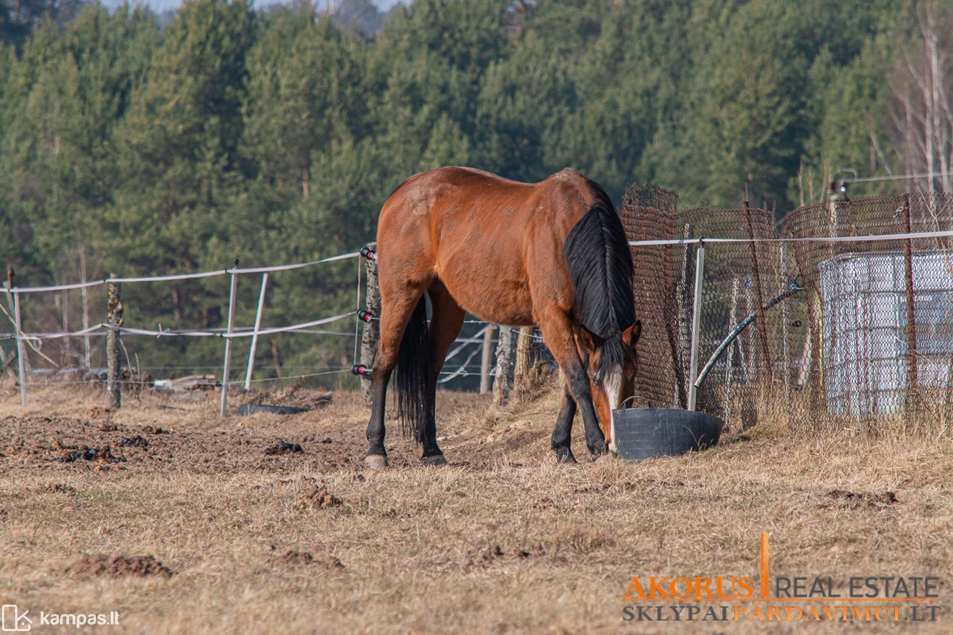 Main Image Širvintų r. sav., Užublendžiai, Sidabrinių Lankų g.