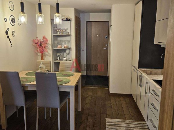 Klaipėda, Sportininkai