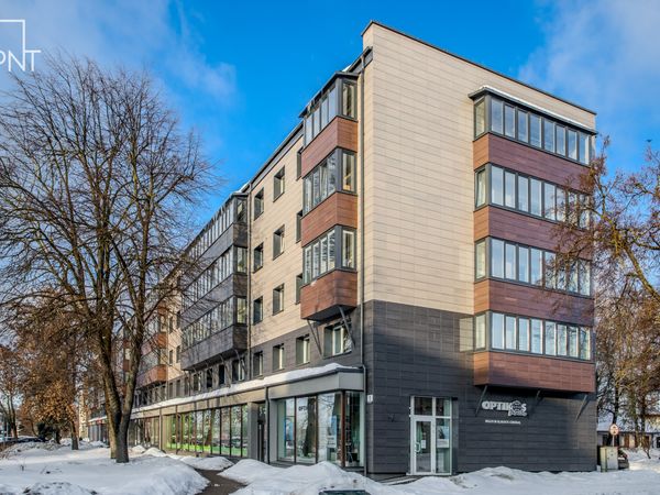 Panevėžys, Centras