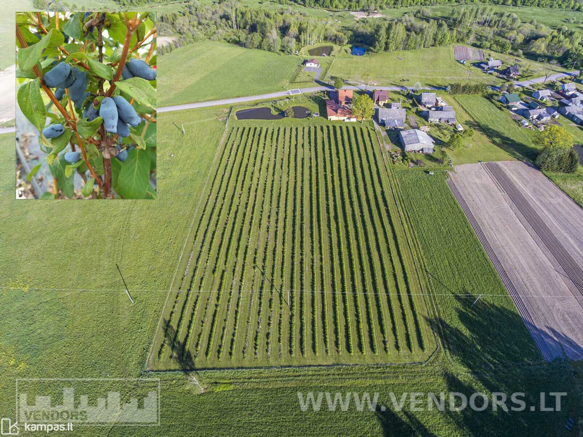 Main Image Rietavo sav., Žadvainai, Jūros g.