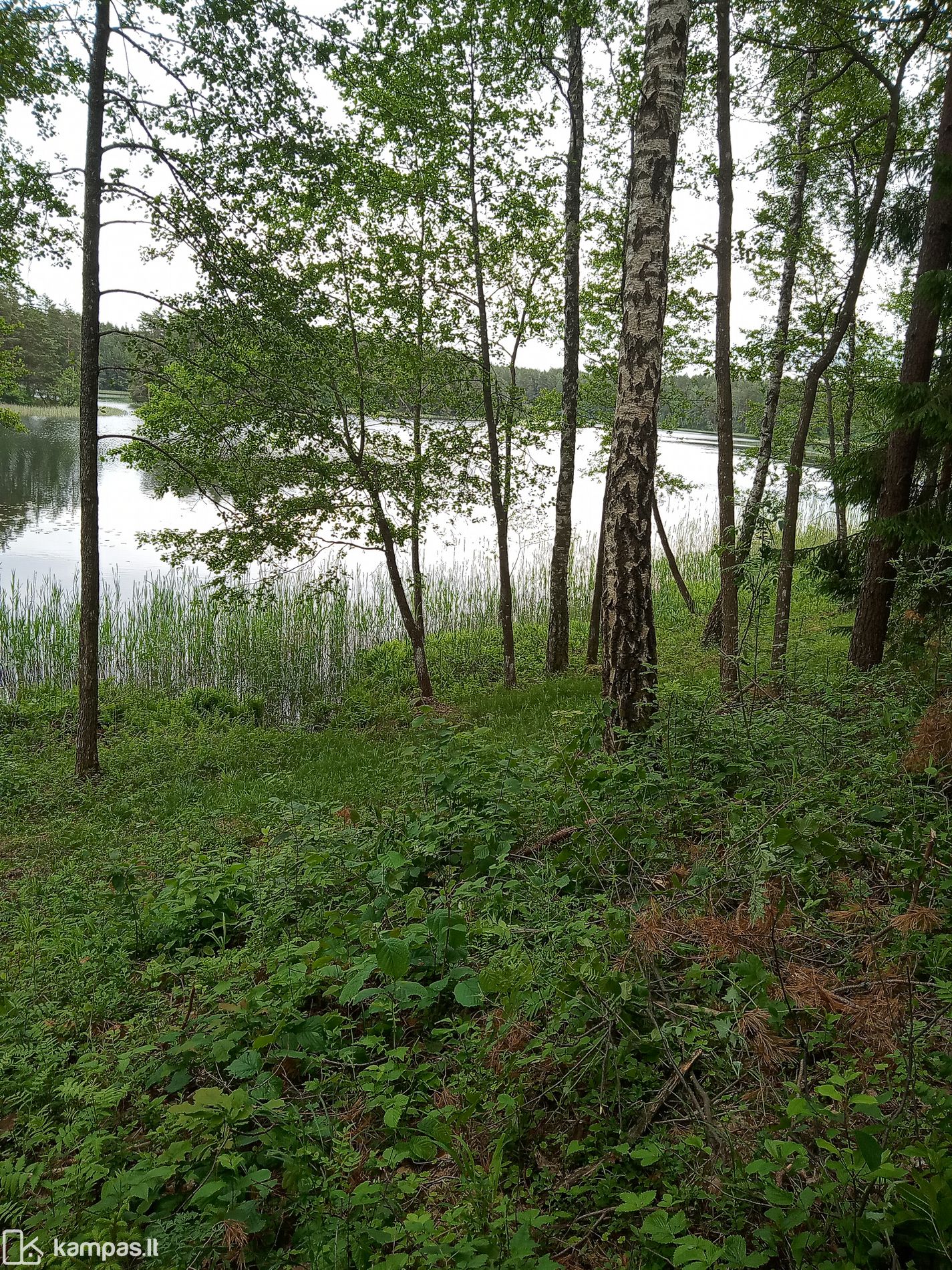 Main Image Molėtų r. sav., Damošiškės