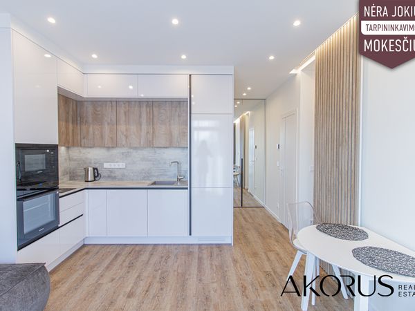 Vilnius, Šnipiškės