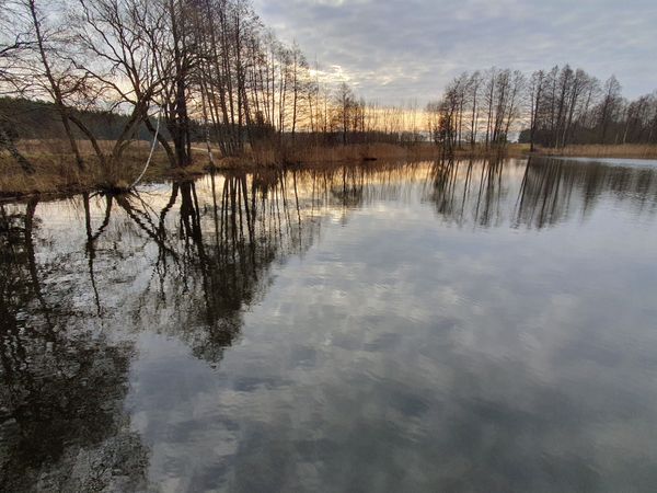 Vilniaus r. sav., Sužionys