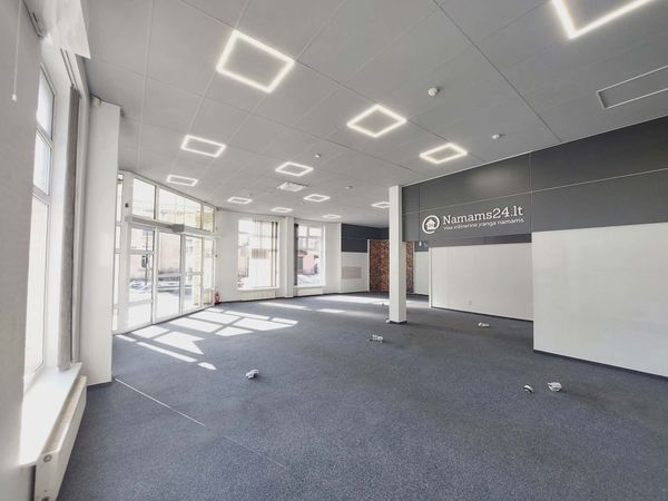 Vilnius, Šnipiškės