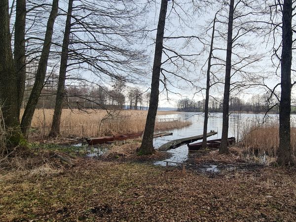 Lazdijų r. sav., Veisiejai