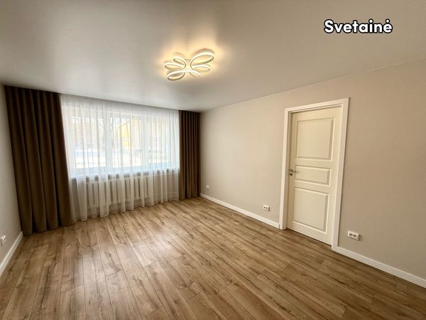 Panevėžys, Centras