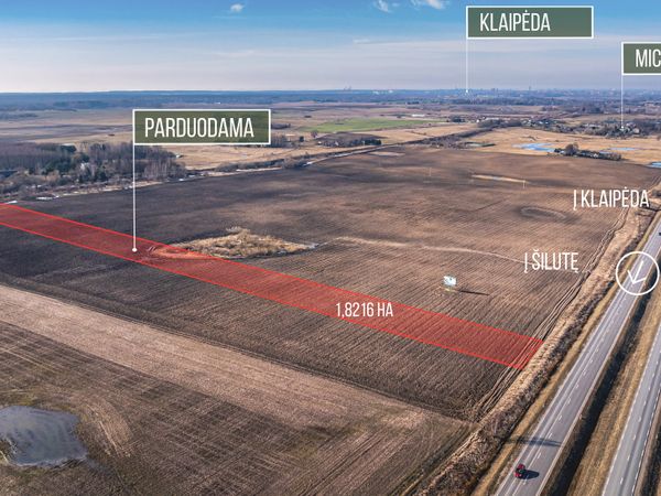 Klaipėdos r. sav., Dituva