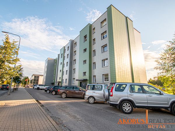 Širvintų r. sav., Širvintos