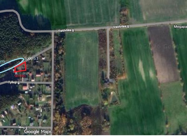 Kauno r. sav., Netoniai