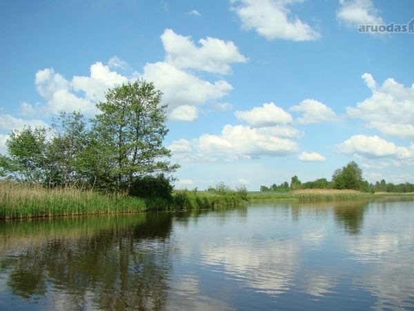 Jonavos r. sav., Kungušilai