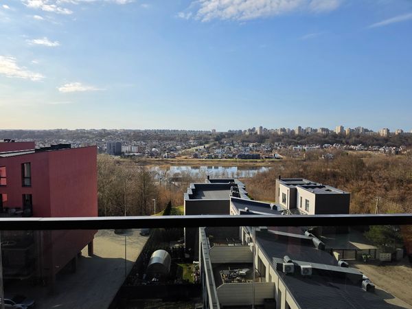 Kaunas, Žaliakalnis