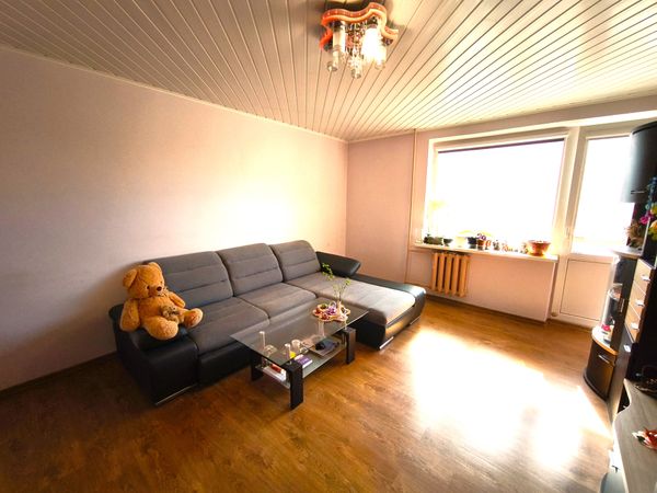 Anykščių r. sav., Anykščiai